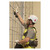 Guardian 10901 Halo web SRL with carabiner and swivel top halo 11 ft web   rebar wall (10901)
