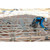 Super Anchor 1017A Floor Joist Safety Bar for 24" O.C., SKU SA1017A, 24 inch fixed leg spacing