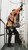 Frontline VLCS Securope system running the full height of an exterior fixed ladder installation