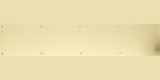 6in x 32in Kick Plate Polished Brass-Aluminum