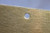 32in x 19in - .040, Muntz, Satin #4 (Brushed) Finish, Brass Armor Plates - Close Up - Holes