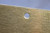 12in x 44in - .063, Unlacquered, Satin #4 (Brushed) Finish, Brass Kick Plates - Close Up - Holes