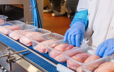 Food Manufacturing Industry Overview and Safety Hazards