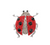 Lucky Lady Stone Embellished Ladybug Brooch - Red/Silver