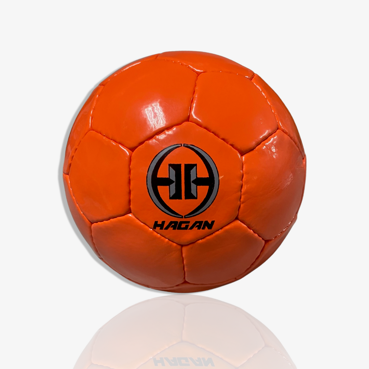 Hagan H-2 Broomball