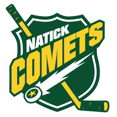 Natick Comets- Custom Ball Order