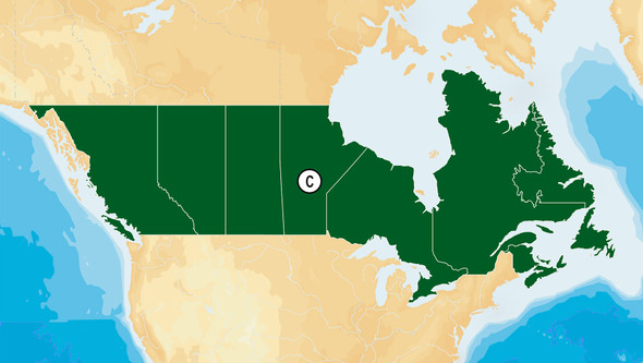 Navionics HotMaps Platinum Lake Maps - Canada - microSD/SD