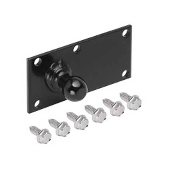 BALL & PLATE ASSY.