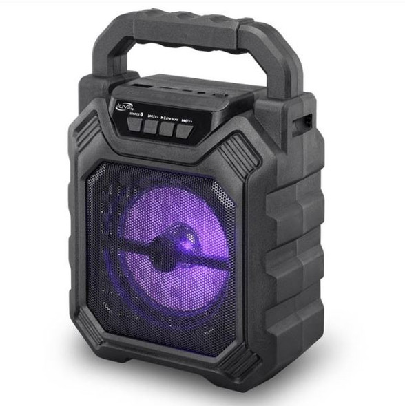 MINI TAILGATE SPEAKER