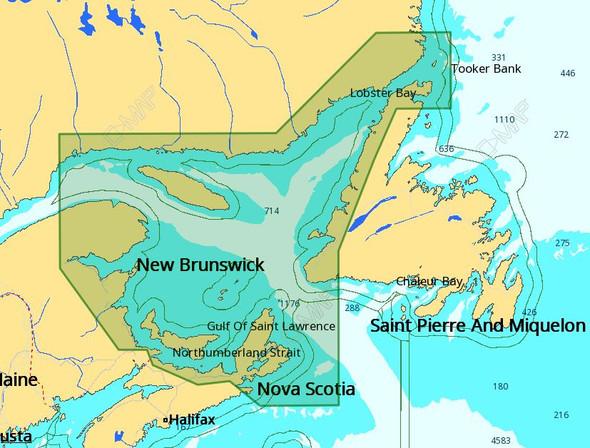 C-map M-na-d936 4d Local Gulf Of St Lawrence M-NA-D936-MS