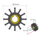 Albin Pump Premium Impeller Kit 62.5 x 16 x 22.4mm - 12 Blade - Key Ins 06-01-015