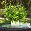 14 inches Artificial Mixed Greenery Foliage Plant in White Ceramic Pot