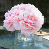 4 Pieces Large Artificial Peony Flowers Arrangement in Clear Glass Vase( Pink) 4 Pieces Large Artificial Peony Flowers Arrangement in Clear Glass Vase( Pink)