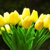 20 Pieces Artificial Real Touch Tulips Flower Arrangement in Glass Vase With Faux Water(Yellow)