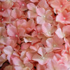 12 Pack 33 Sq ft. UV Protected 3D Silk Hydrangea Flower Wall Mat Panel( Peach)