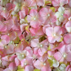 12 Pack 33 Sq ft. UV Protected 3D Silk Hydrangea Flower Wall Mat Panel(Pink)
