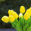 20 Pieces Artificial Real Touch Tulips Flower Arrangement in Cube Glass Vase With Faux Water(Yellow)