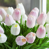 Artificial Real Touch Tulip Arrangement in Clear Glass Vase (Pink White)