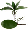 Faux Orchid Leaves Artificial Phalaenopsis Leaf 2pcs
