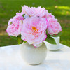 Artificial Silk Peony Flower Arrangement in Ceramic Pot (Pink)