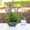 Artificial Lavender Flower with Greenery in Pot