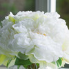 Artificial Silk Peony Flower Arrangement in Glass Vase with Faux Water(Cream)