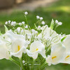 Mixed Artificial Real Touch Lily and Baby Breath Flower Arrangement in Clear Glass Vase with Faux Water