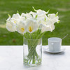 20 Pieces Artificial Real Touch Lily Flower Arrangement in Clear Glass Vase with Faux Water(White)