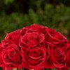 16 Heads Artificial Silk Rose Flowers in Round Glass Vase With Faux Water(Red)