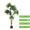 72" Artificial California Palm Tree in Nursery Pot