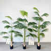 72" Artificial California Palm Tree in Nursery Pot