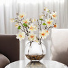 Real Touch Magnolia Flower Arrangement in Glass Vase with Faux Water (Cream Peach)