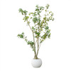 72" Artificial Pieris Tree in Nursery Pot