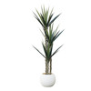 Artificial Agave Tree in Pot Artificial Agave Tree in Pot