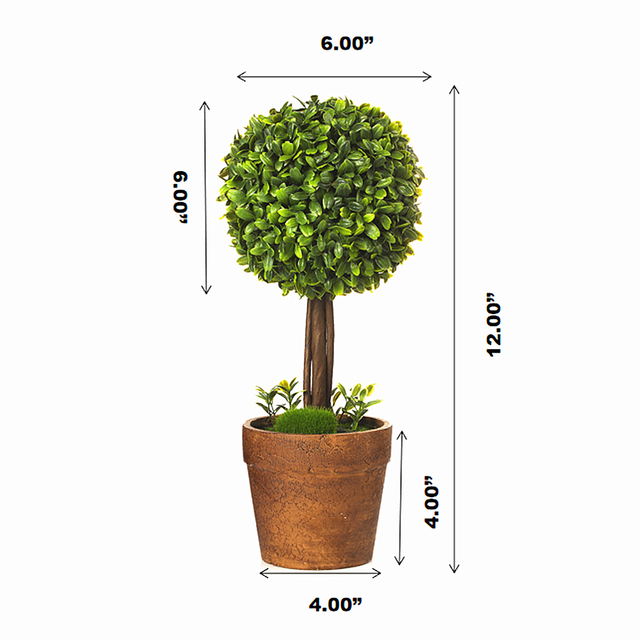 12 inch Artificial Boxwood Single Ball Round Topiary in Pot
