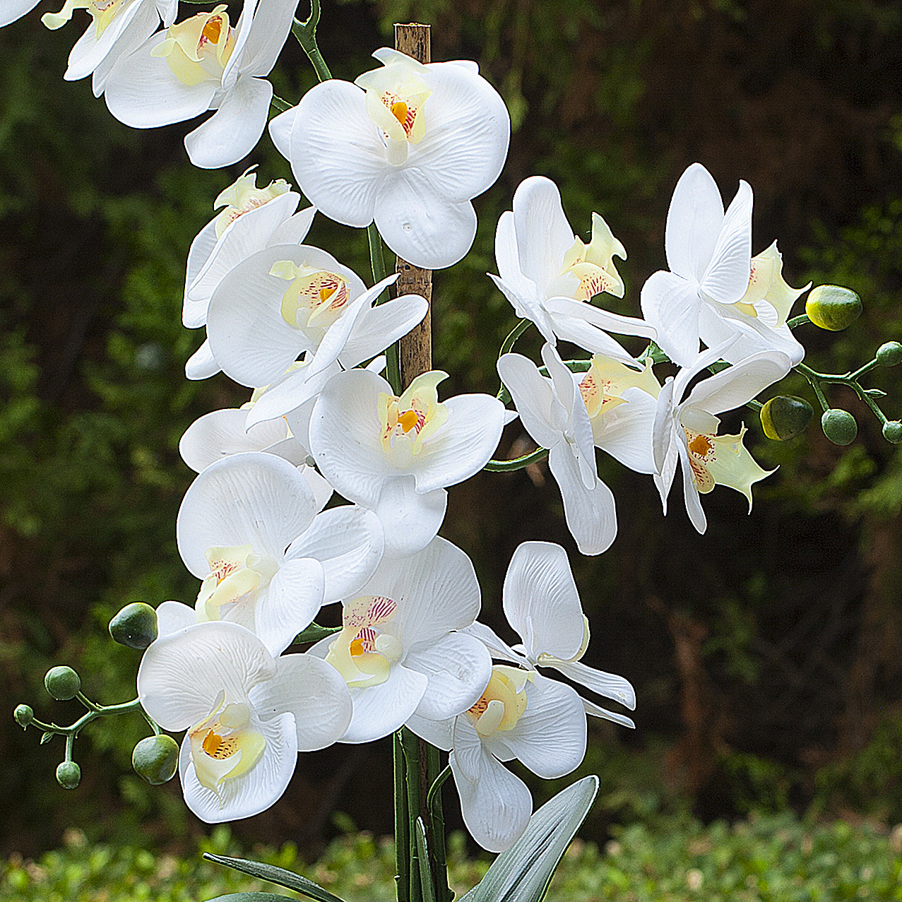 24" Artificial Real Touch Orchids Flower in White Ceramic Pot