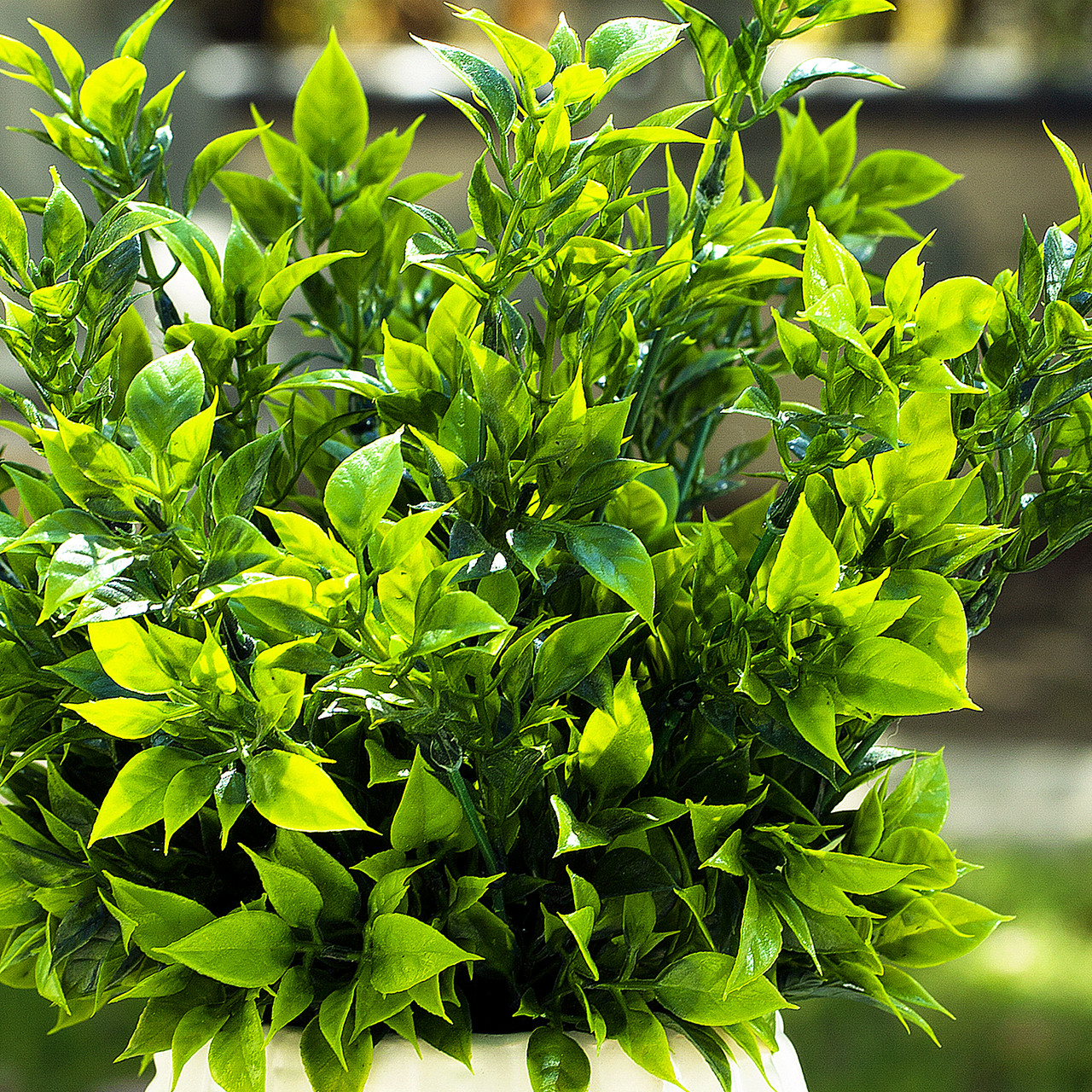 12 inches Artificial Mixed Greenery Foliage Plant in White Ceramic Pot