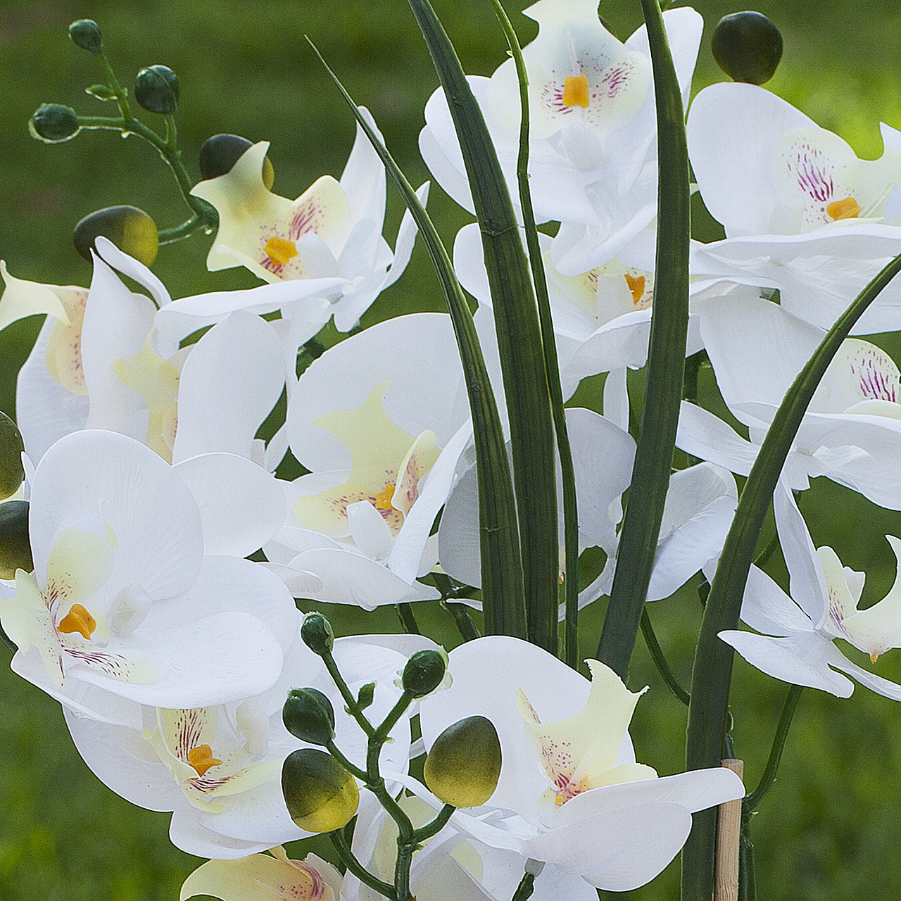Artificial Real Touch Orchids Flower Arrangement in White Ceramic Pot