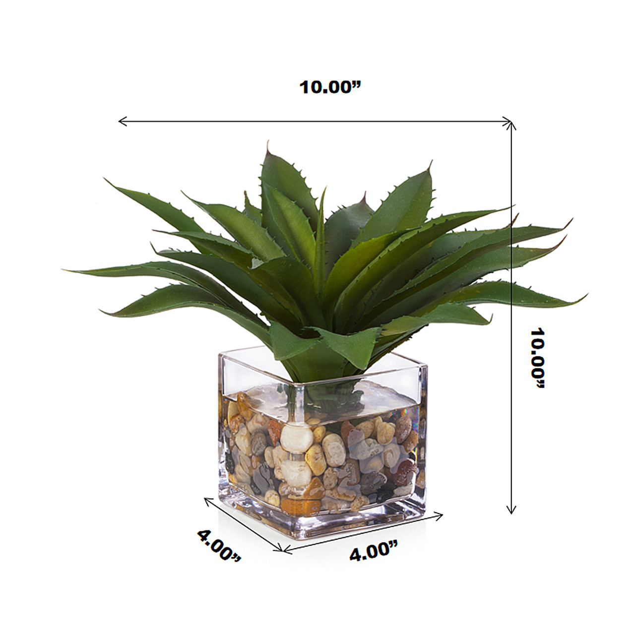Artificial Succulent Plant In Cube Glass Vase