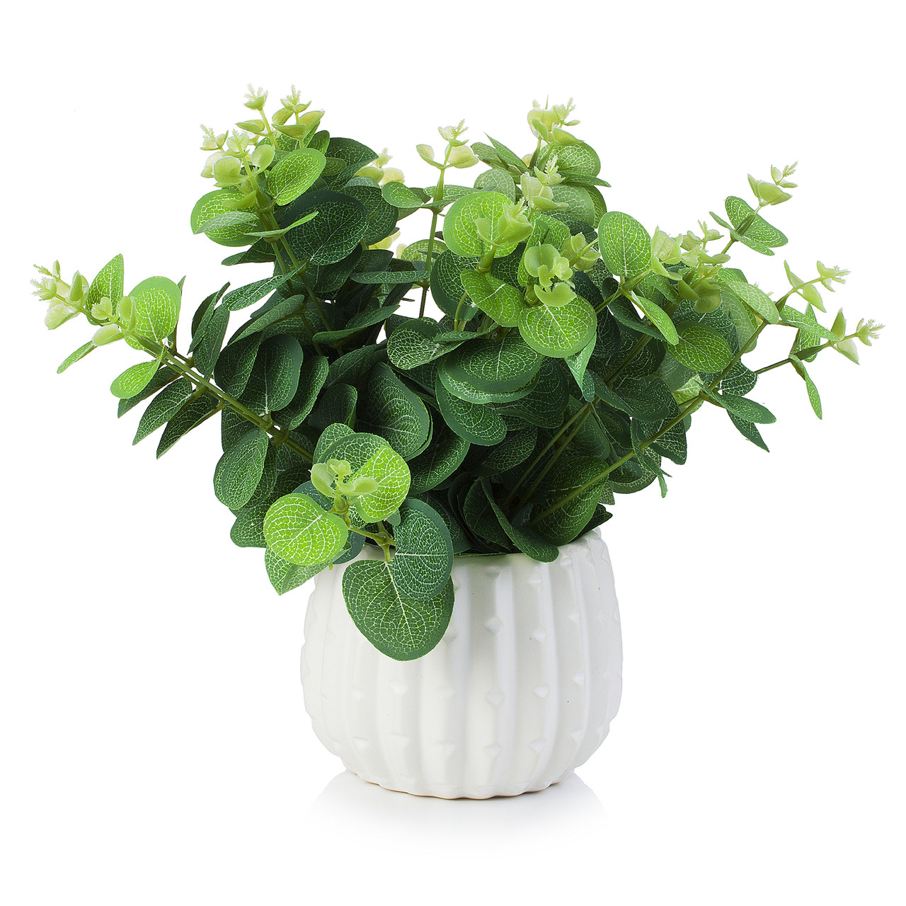 Artificial Eucalyptus Plant In White Ceramic Pot