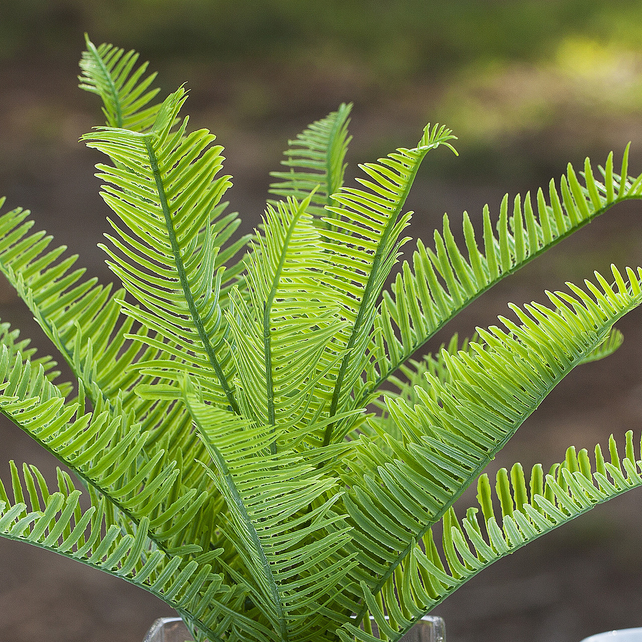 Artificial Fern Plant In Cube Glass Vase