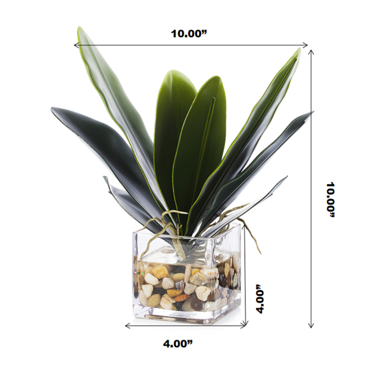 Faux Orchid Leaves In Cube Glass Vase