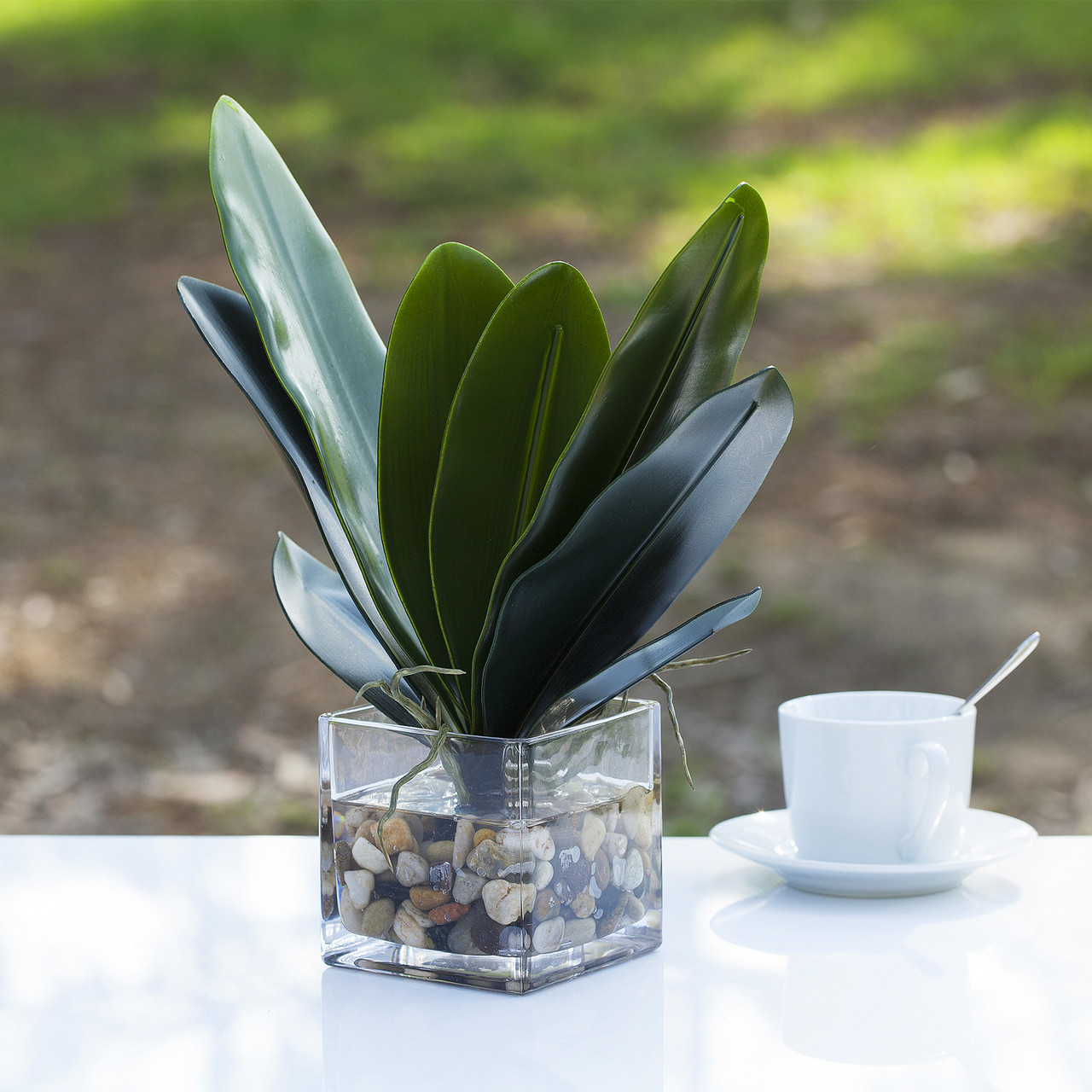 Faux Orchid Leaves In Cube Glass Vase