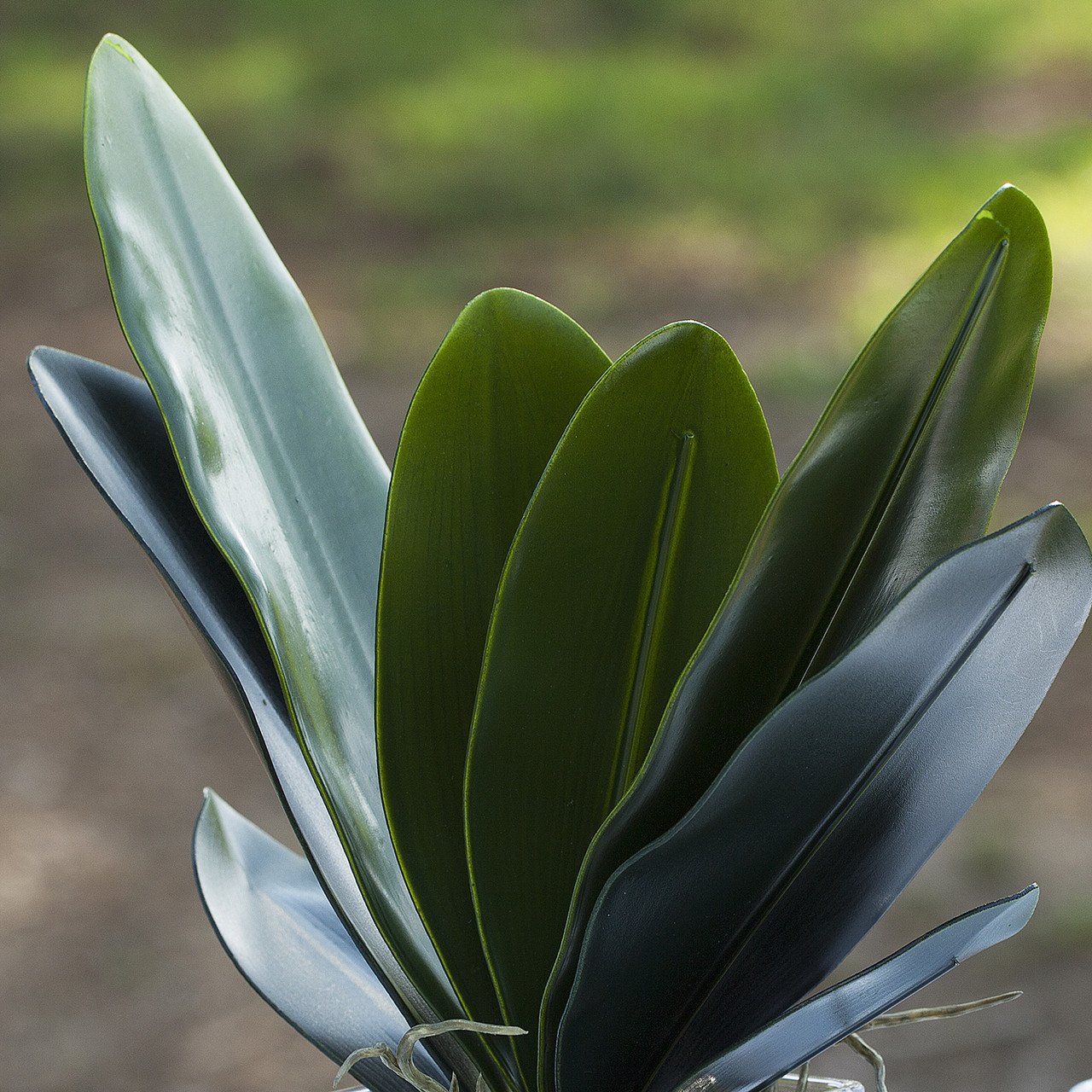 Faux Orchid Leaves In Cube Glass Vase