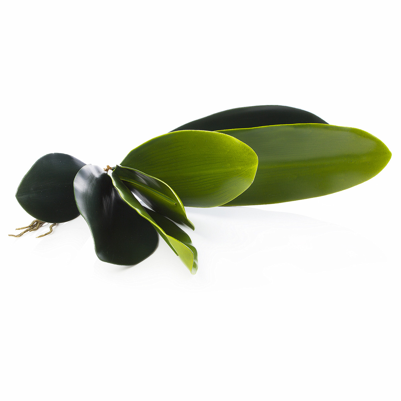 Faux Orchid Leaves Artificial Phalaenopsis Leaf 2pcs