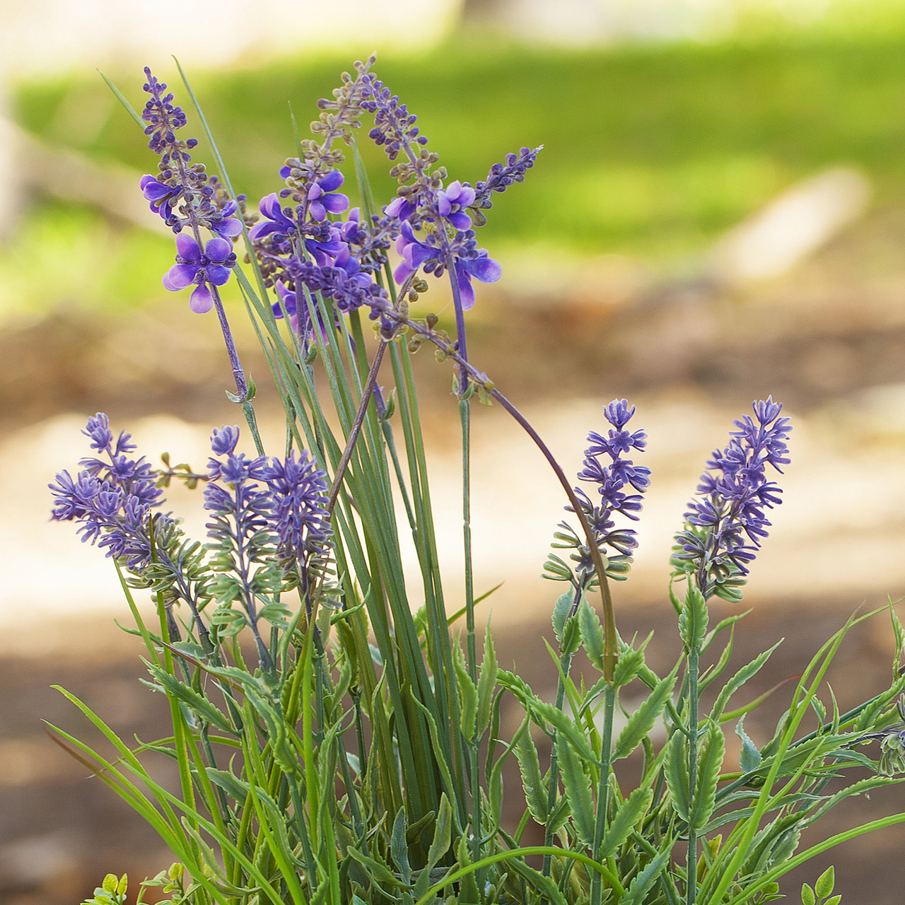 Artificial Lavender Flower with Greenery in Pot