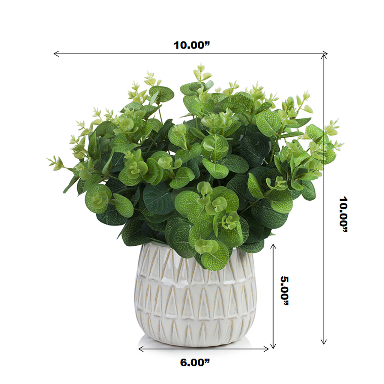Artificial Eucalyptus Plant In Ceramic Pot