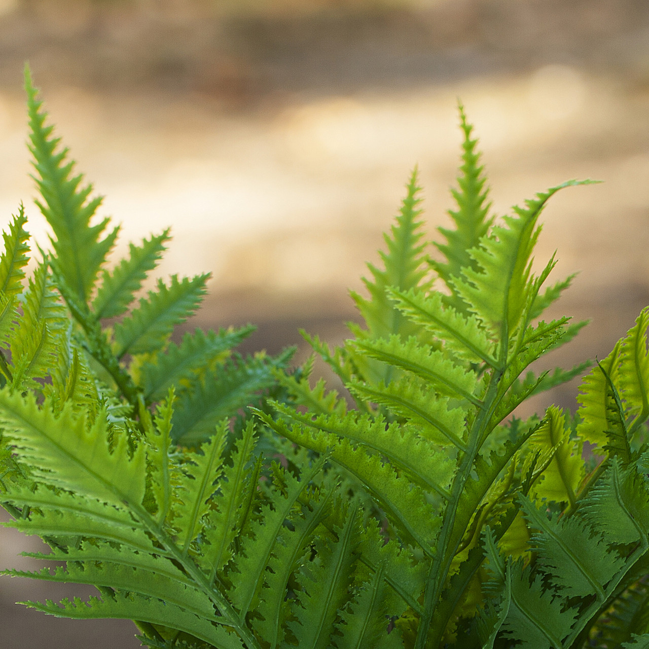 12 Inch Artificial Fern Plant In Ceramic Pot