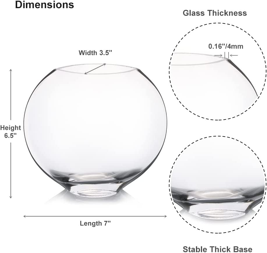 Unique Oval Glass Vase H 6.50" W 3.5"L7.0"
