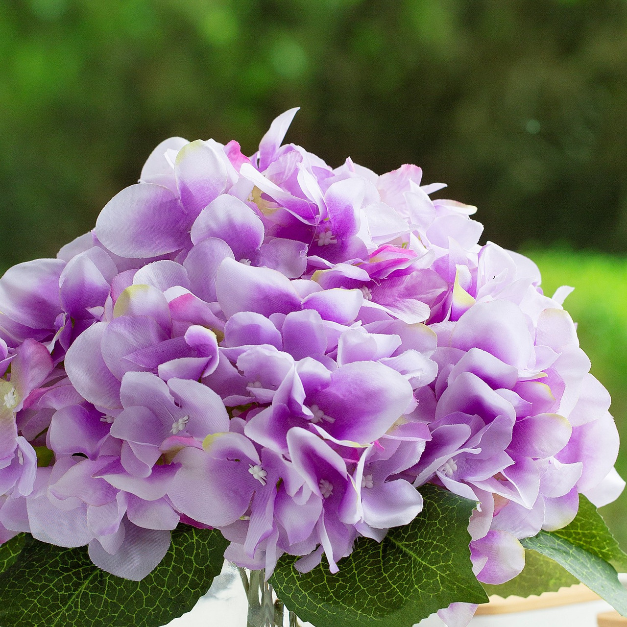 Artificial Silk Hydrangea in Clear Glass Vase With Faux Water